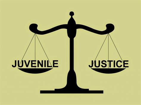 juvenile offender chapter 11|juvenile justice and youth crime.